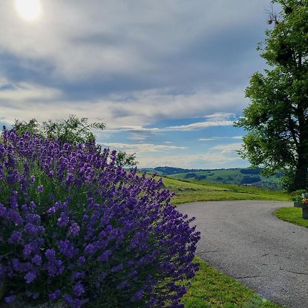 Unterbrandlberg Lägenhet Steinbach an der Steyr Exteriör bild