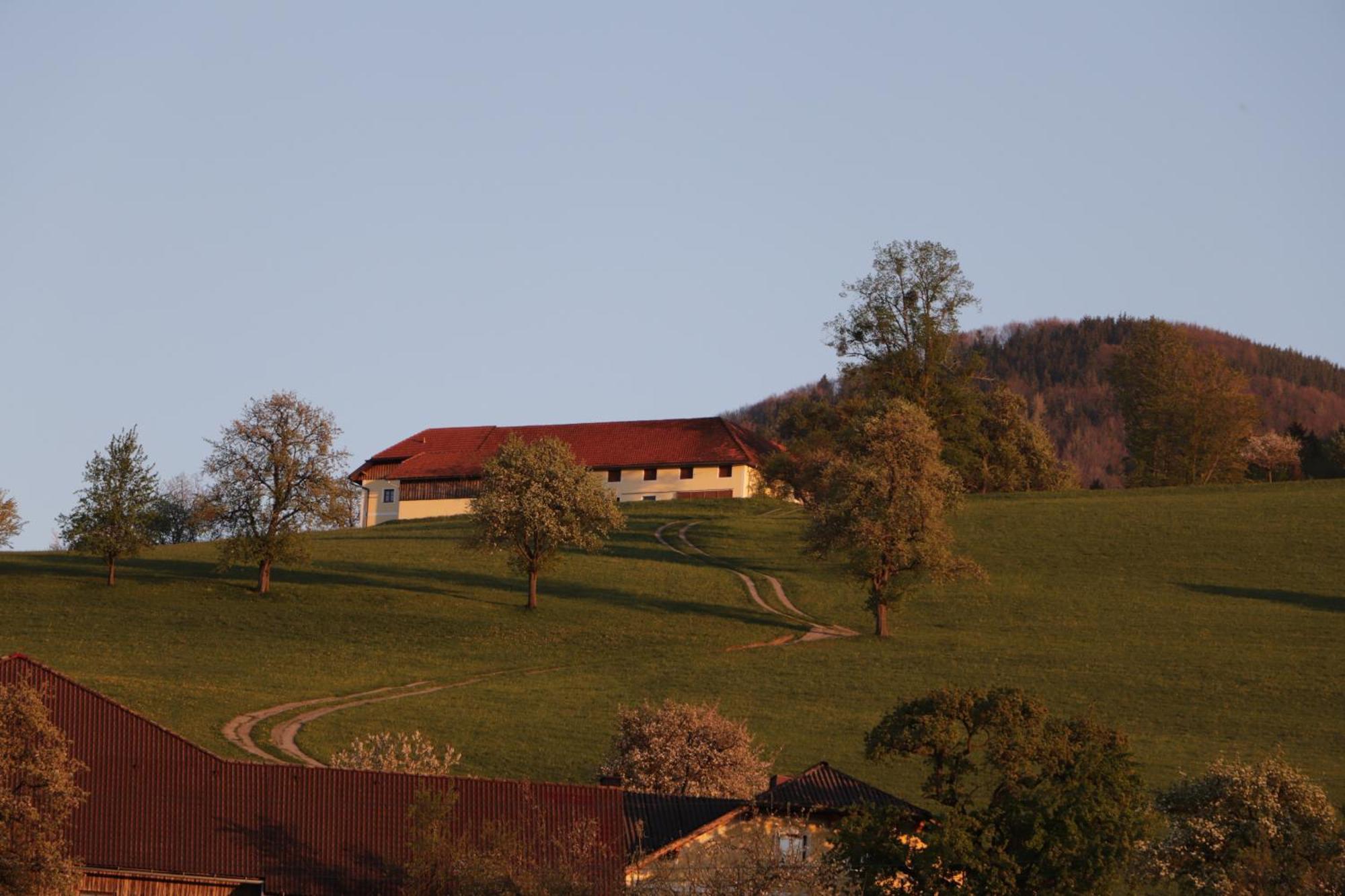 Unterbrandlberg Lägenhet Steinbach an der Steyr Exteriör bild