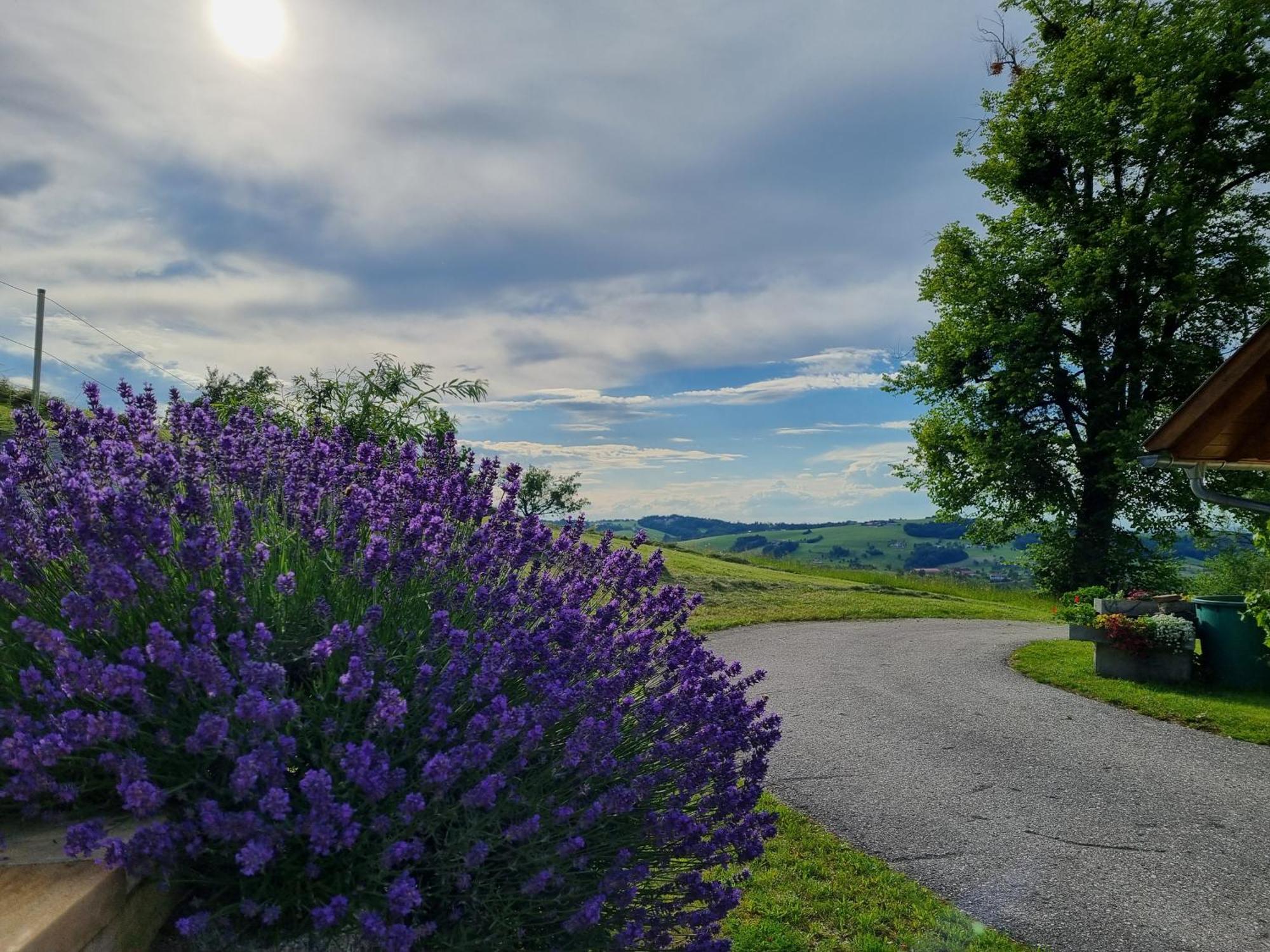 Unterbrandlberg Lägenhet Steinbach an der Steyr Exteriör bild
